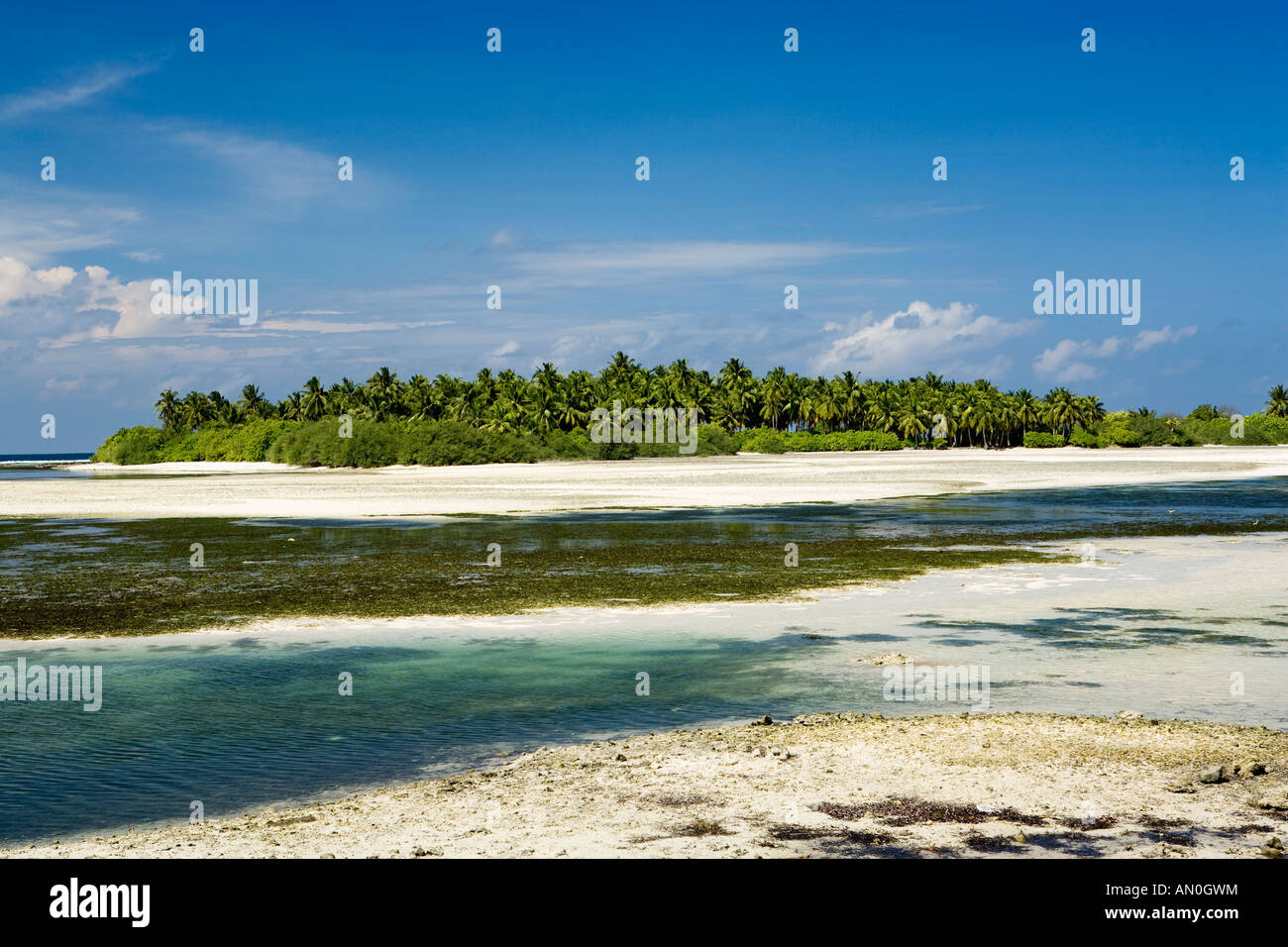 Malediven-Addu Atoll Feydhoo Westküste Savahili island Stockfoto