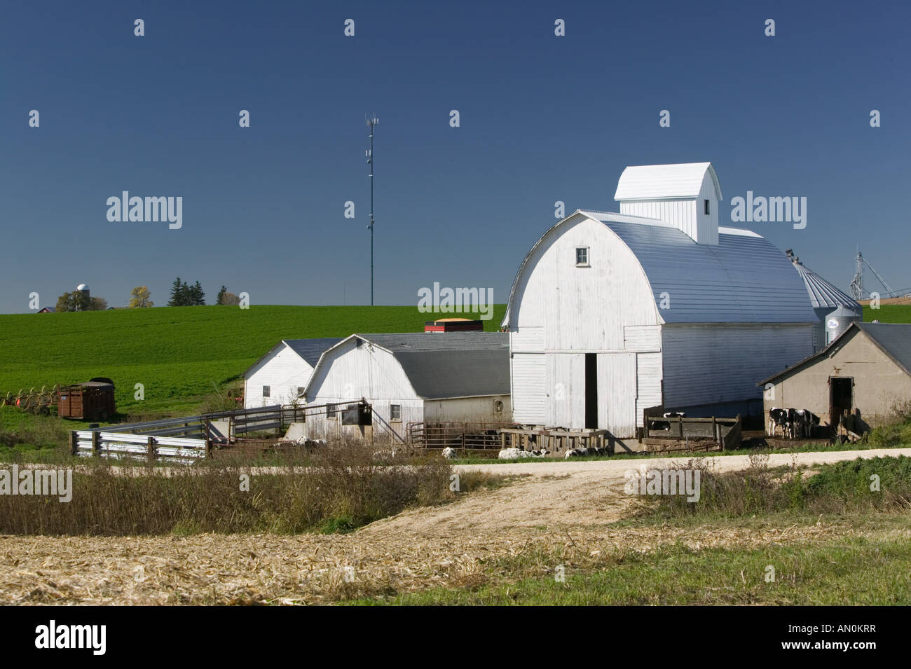 USA, IOWA, Rickardsville: Bauernhof entlang RT. 52 / nordöstlichen Iowa Stockfoto