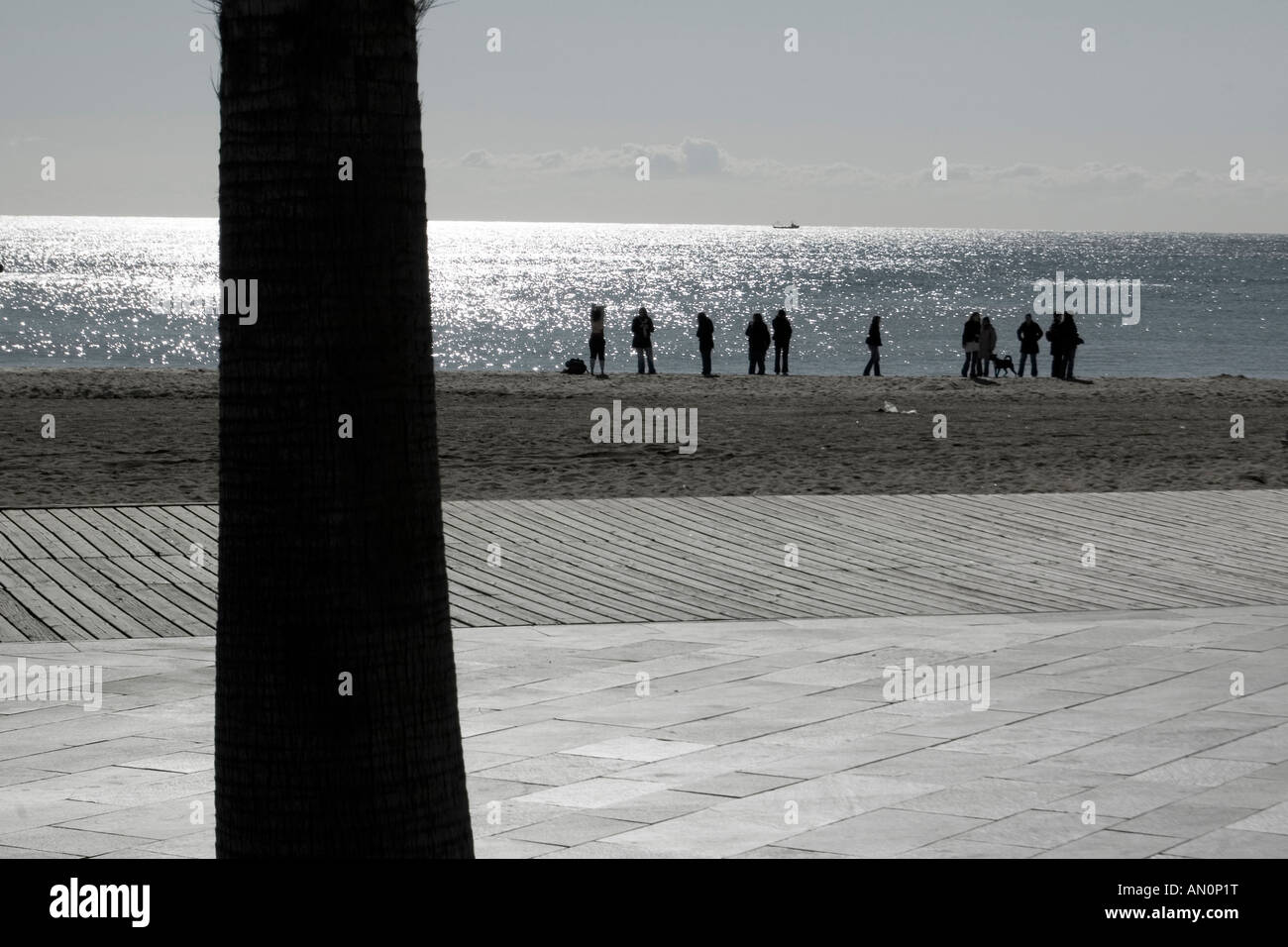 Niedrige Sättigung Foto von Silhouetten und Baumstamm am Strand von Barcelona Stockfoto