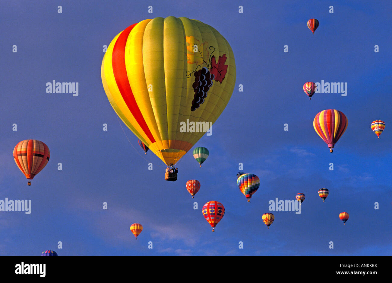 Heißluftballons steigen im Morgenlicht an der International Balloon Fiesta Albuquerque New Mexico Stockfoto