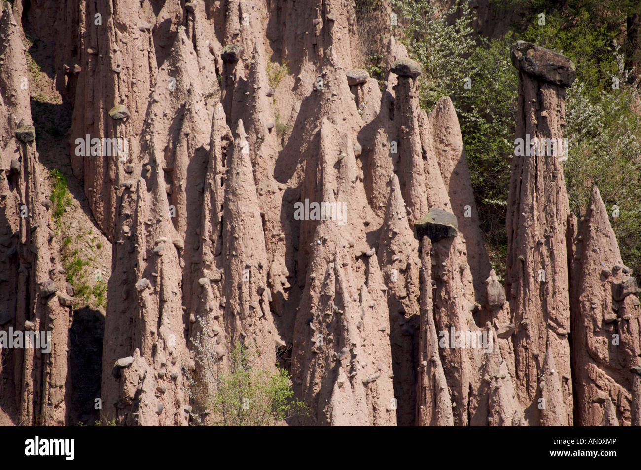 Erdpyramiden in Mittenberg, Italien, Südtirol, verklagt Tirol, Europa, Europa 2006. Stockfoto