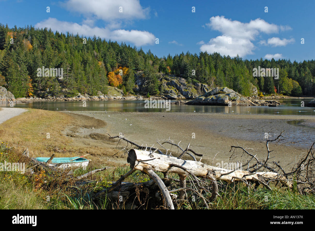 Squrriel Cove Salmon Creek Cortes Island Britisch-Kolumbien. Kanada.  BCX 0207. Stockfoto