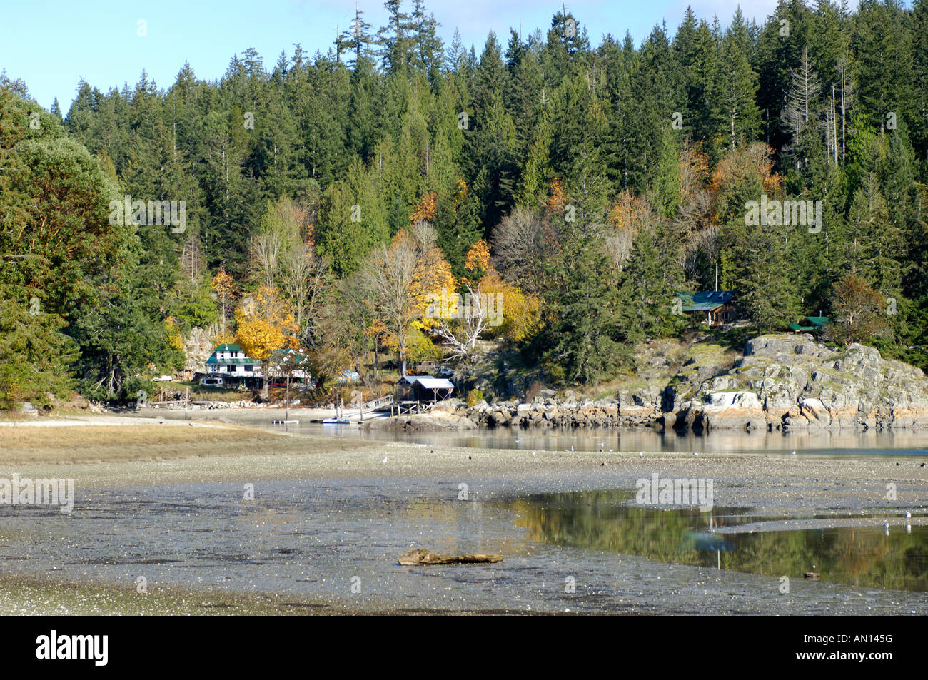 Squrriel Cove Salmon Creek Cortes Island BC. Kanada. Stockfoto
