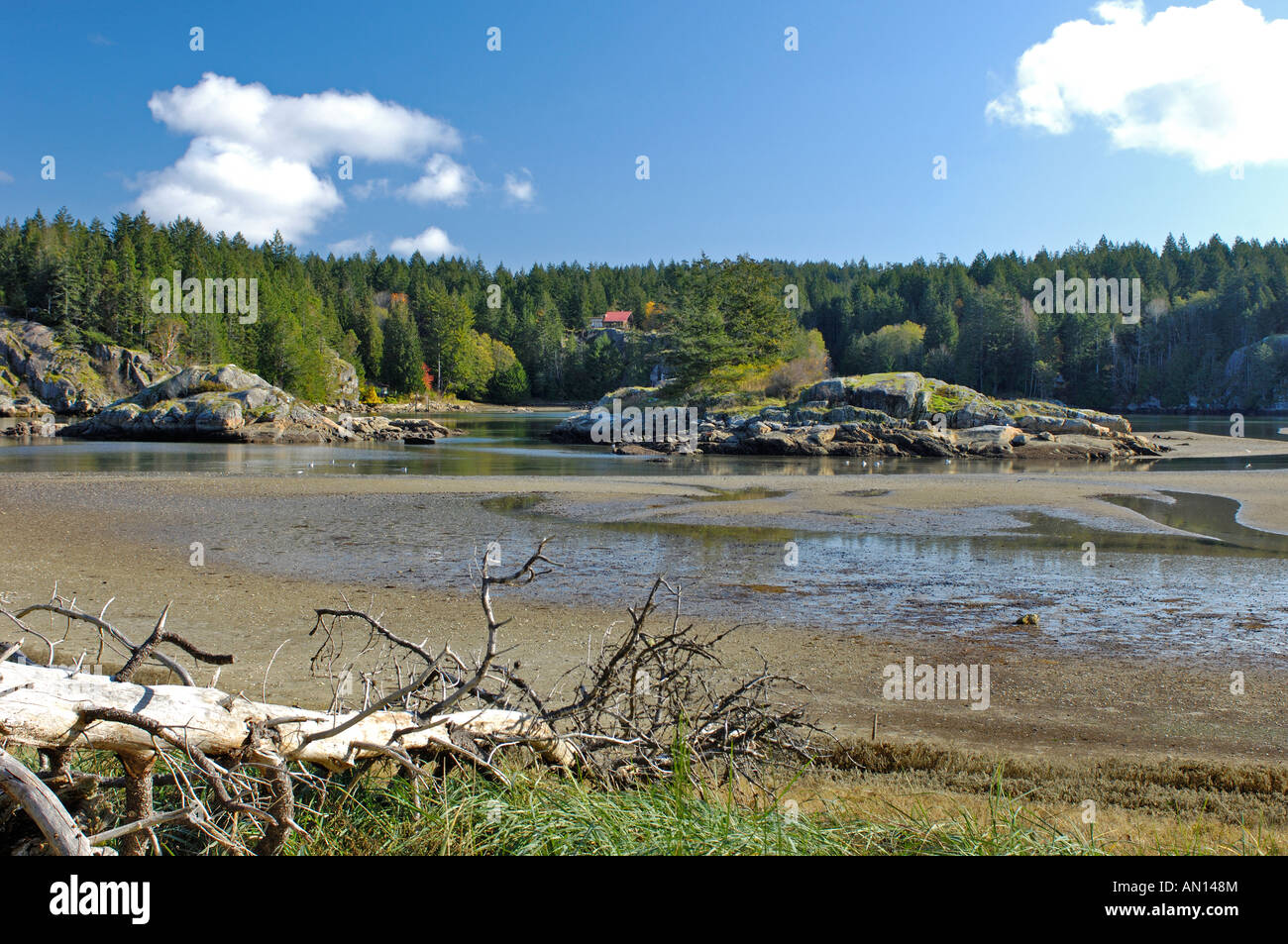 Squrriel Cove Salmon Creek Cortes Insel Vancouver Inseln. BC. Kanada.   BCX 0205. Stockfoto