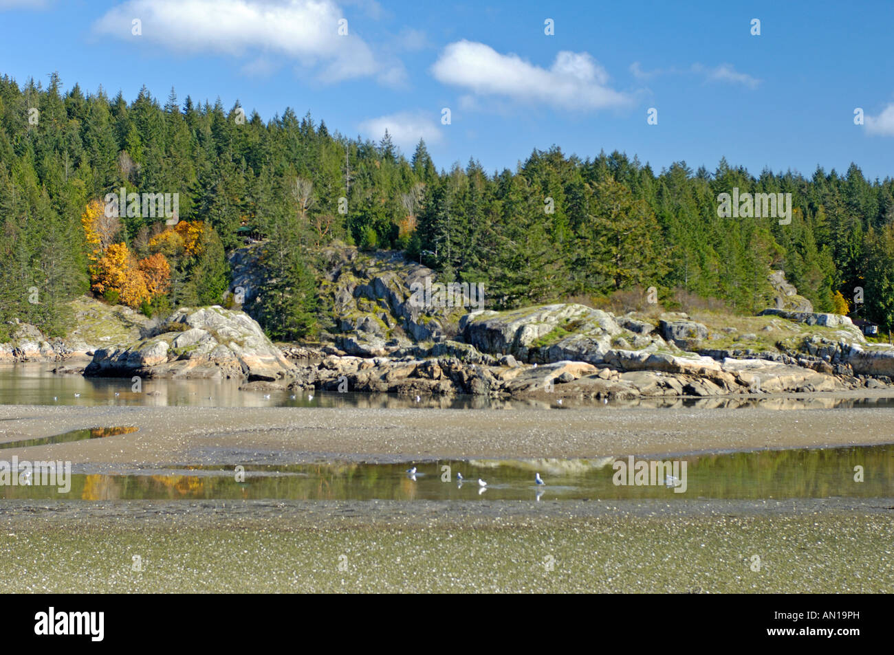 Squrriel Cove Cortes Insel Vancouver Insel. BC Kanada. BCX 0210 Stockfoto