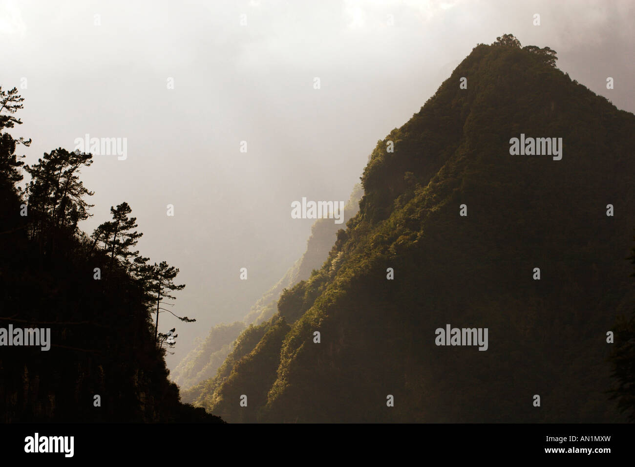 Portugal Madeira Blick von Sao Roque Faial in Das Biotope Parque Forestal Stockfoto