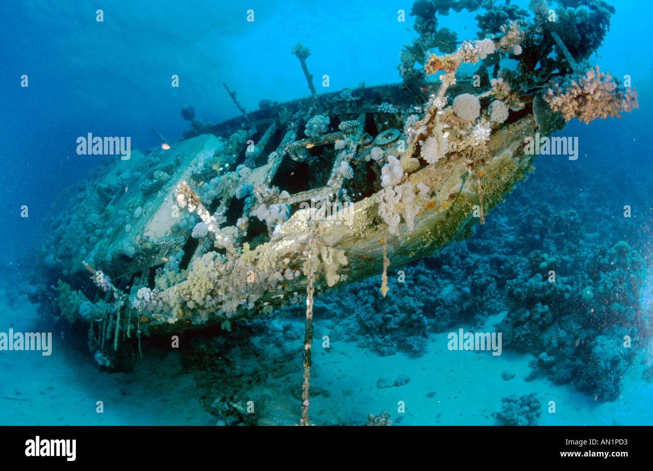 überdachte Wrack eines Segelschiffes Schiff, Ägypten, Hamata, 05 Mar. Stockfoto
