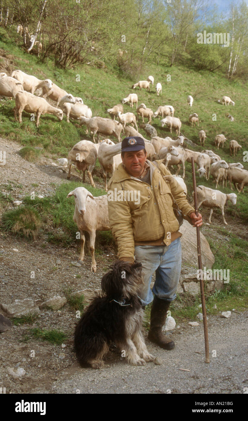 Hirt mit Schäferhund und Herde von Schafen in der Nähe von Ardales, Andalusien. Stockfoto