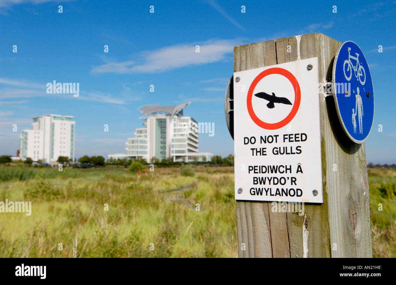 Melde nicht füttern der Möwen übersehen von Wohnungen und St Davids Hotel in Cardiff Bay Wetlands Reserve South Wales UK Stockfoto