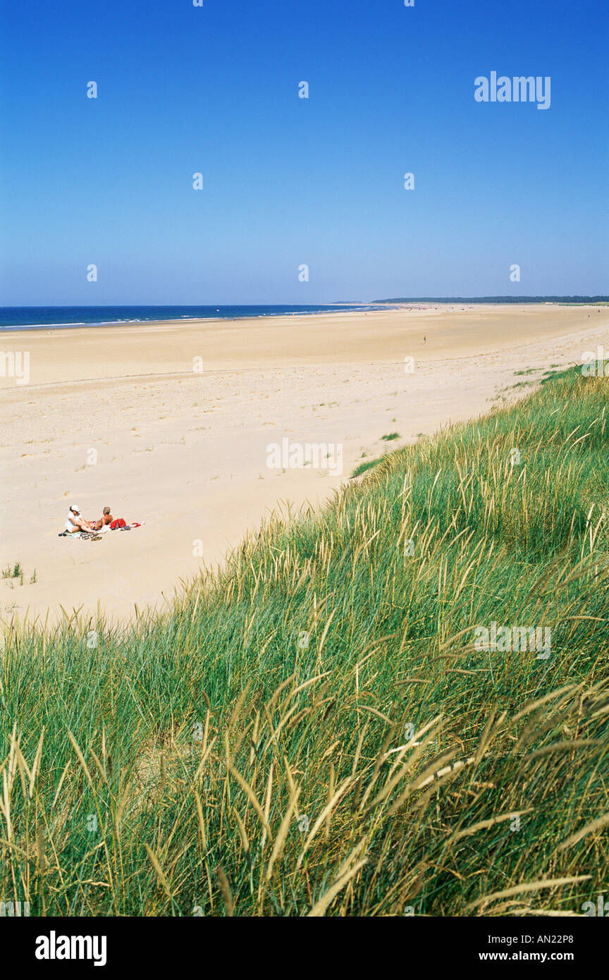 England, East Anglia, Norfolk, Holkham Bay Stockfoto