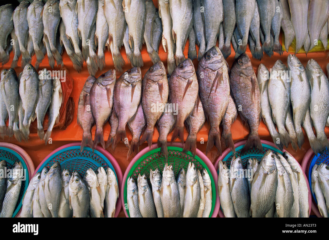 Busan, Korea Jagalchi Markt, frische Fisch-Display Stockfoto