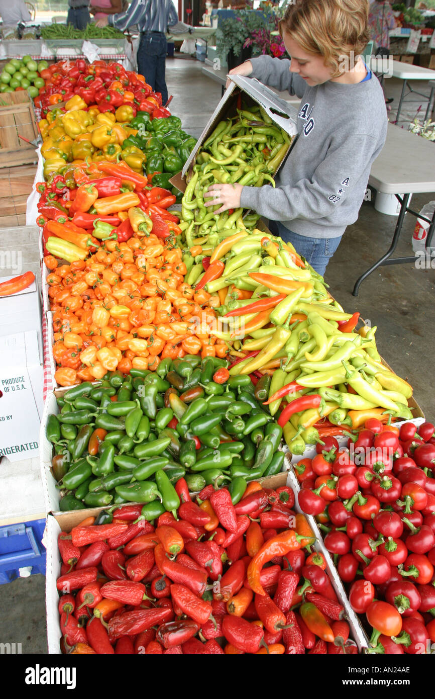 Raleigh North Carolina, State Farmers Market Gemüse Produce Vendor, Marktplatz lokal angebaut Verkauf Display Sale teen Organisation Paprika Mädchen Stockfoto