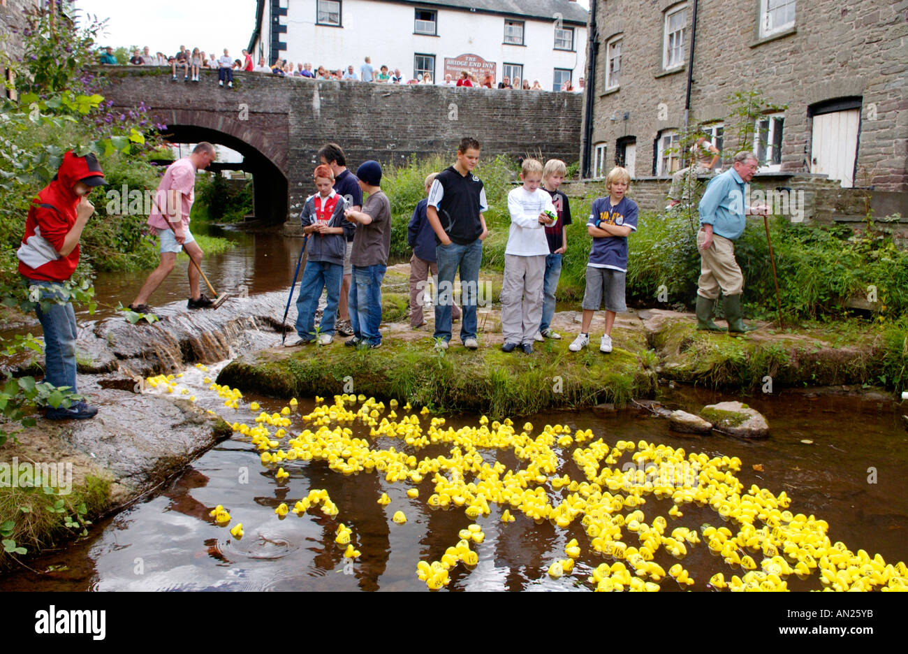 Gemeinschaft gelb Kunststoff Entenrennen am Fluss Ennig Teil des jährlichen Talgarth Festival der Black Mountains Powys Mid Wales UK Stockfoto