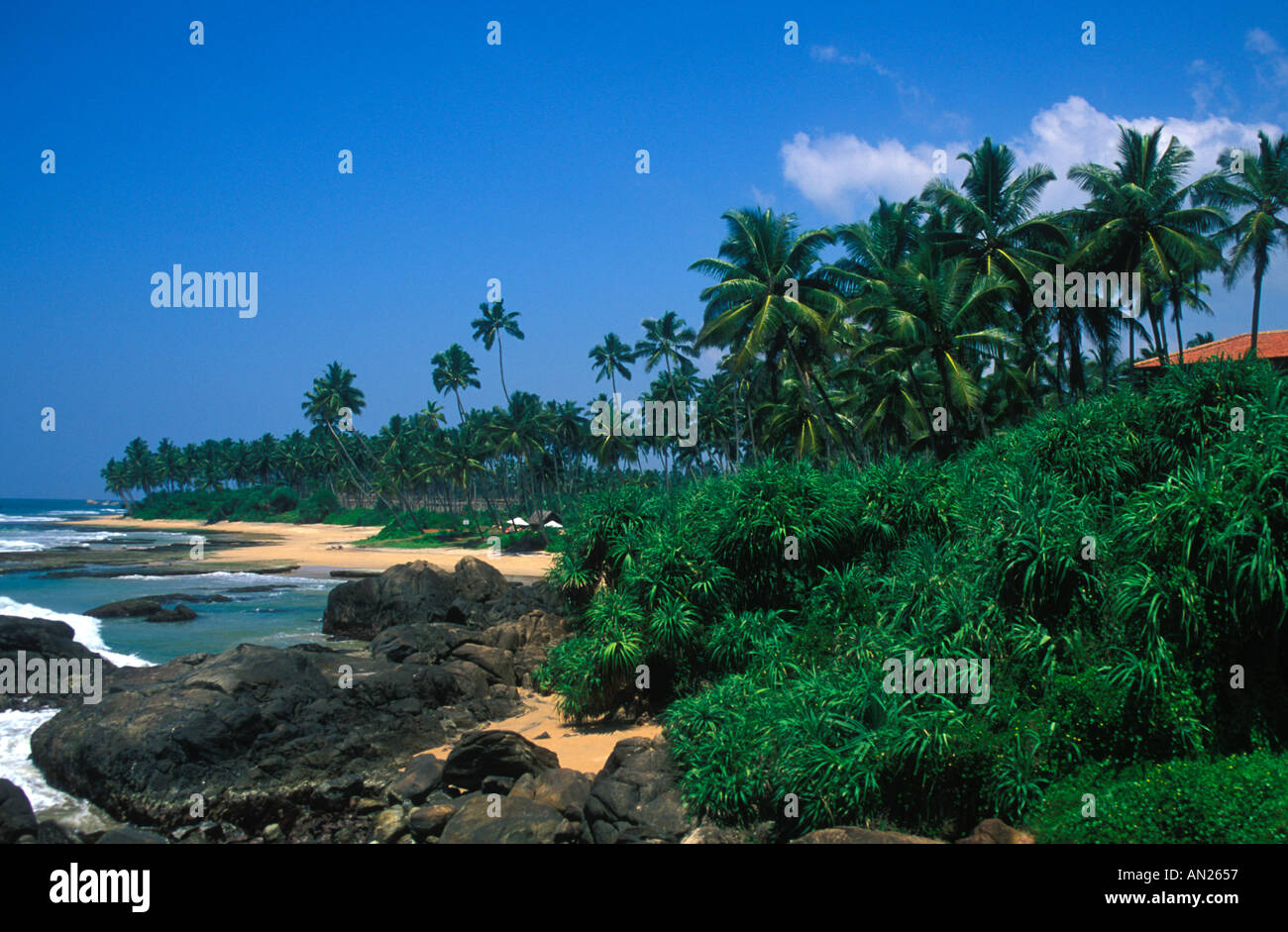 Die südliche Stadt Galle, Sri Lanka, ist ein malerischer Strand mit goldenen Sandstränden und schwingenden Palmen. Stockfoto