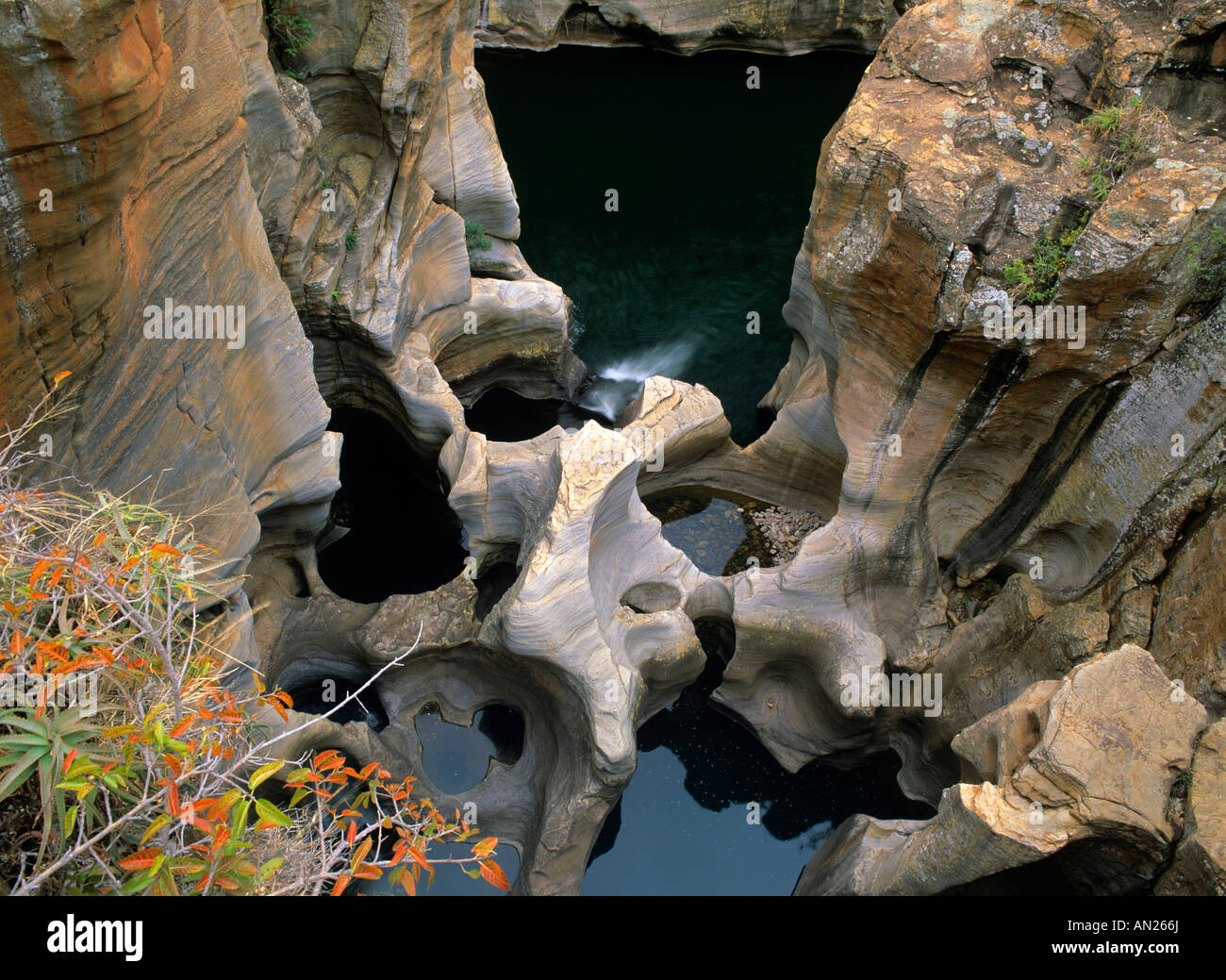 Schlaglöcher und Rock Waschungen Bourke s Luck Potholes Blyde River Canyon Nature Reserve Südafrika Stockfoto