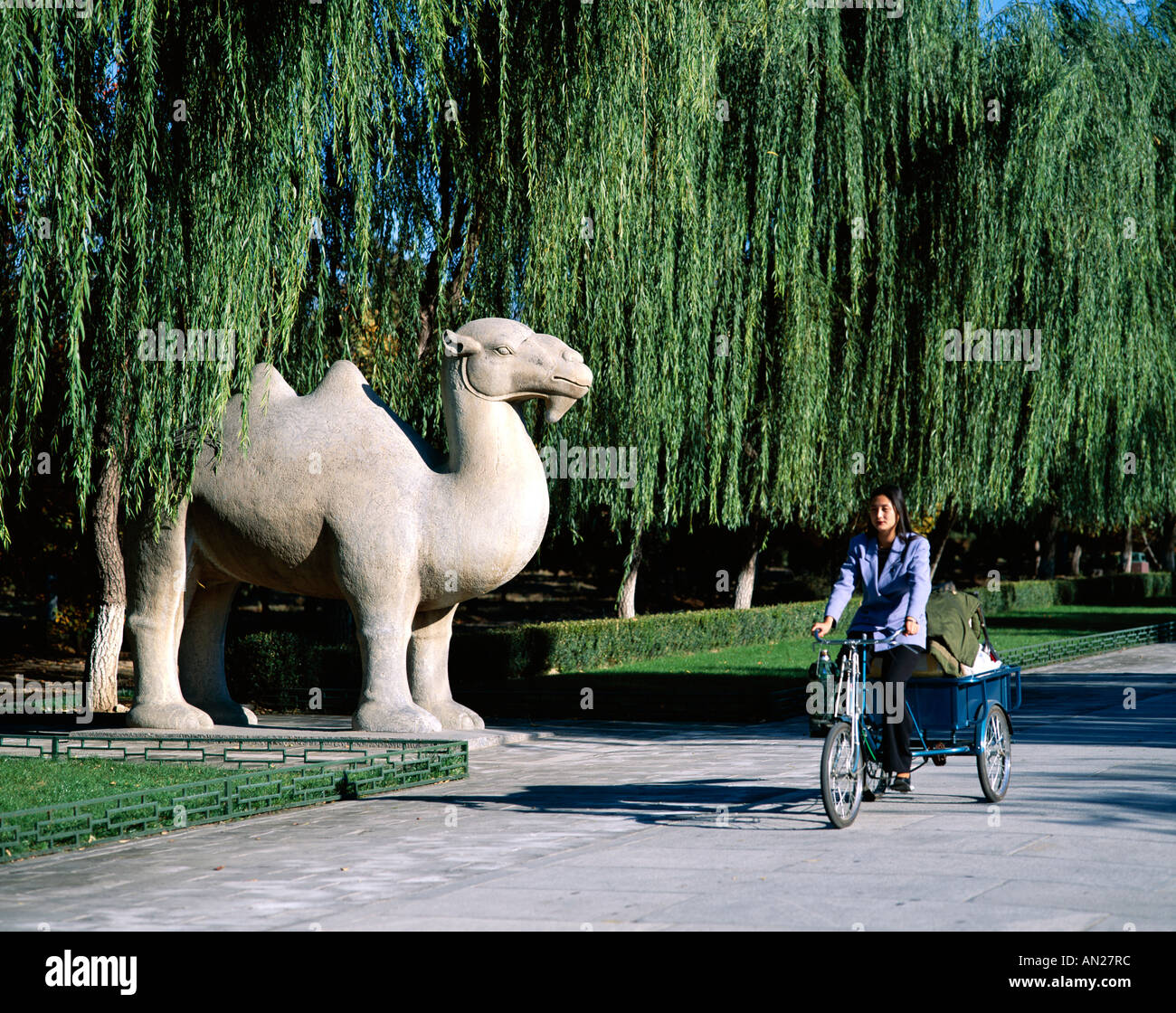 Ming-Gräber / heilige Weise / Stein Kamel Statue / Ming-Dynastie, Peking, China Stockfoto