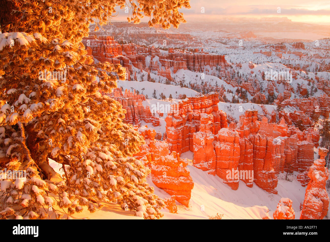 Sunset Point während Winter Bryce Nationalpark Utah Stockfoto