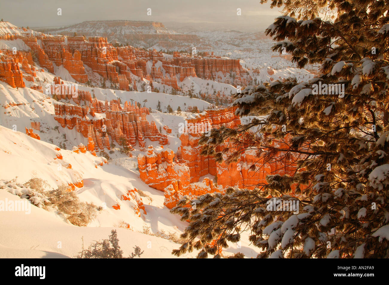 Sunset Point während Winter Bryce Nationalpark Utah Stockfoto