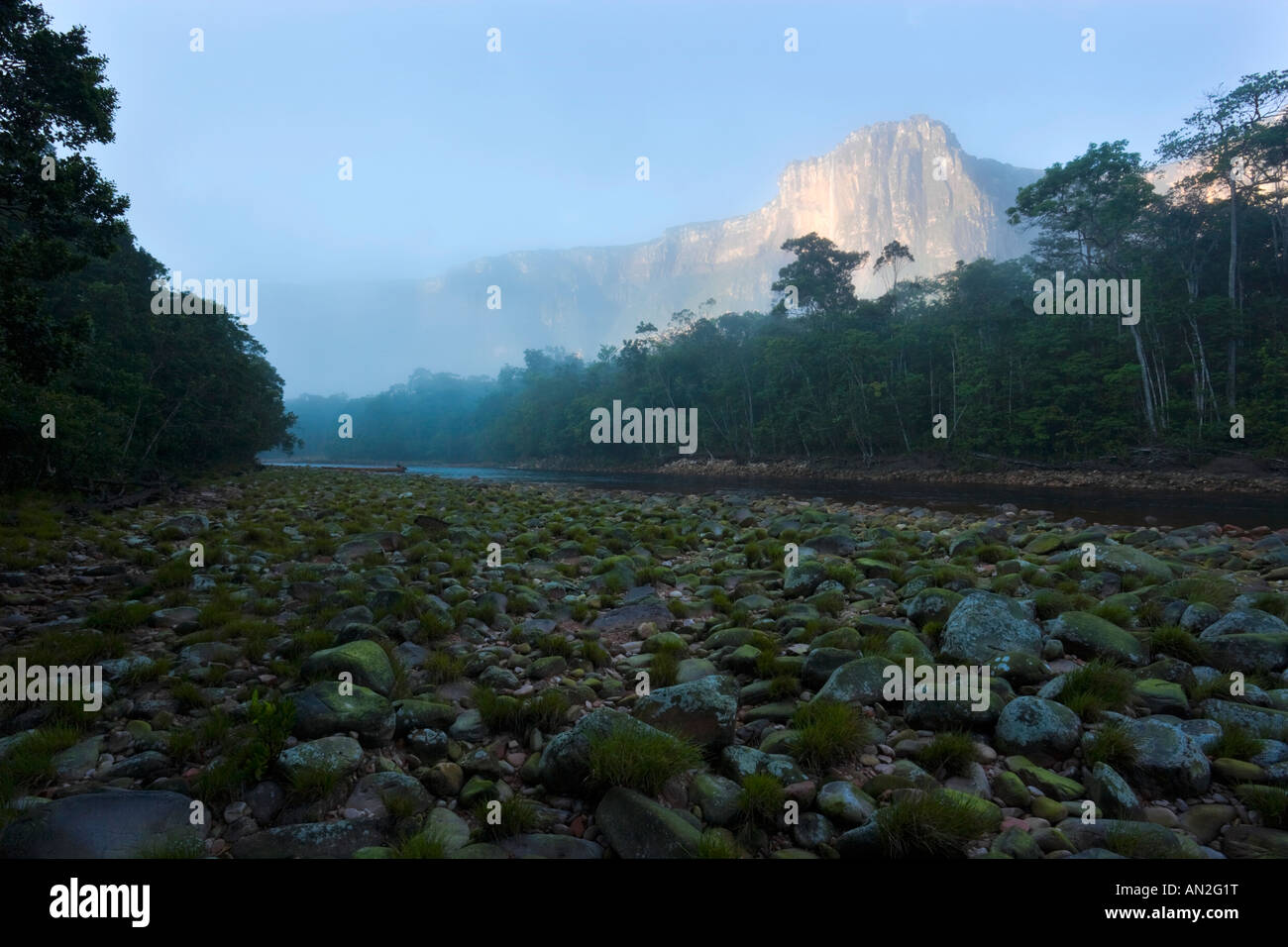 Bezaubernde nebligen Sonnenaufgang Blick auf üppige Regenwald führt zu den Angel Falls, Venezuela Stockfoto