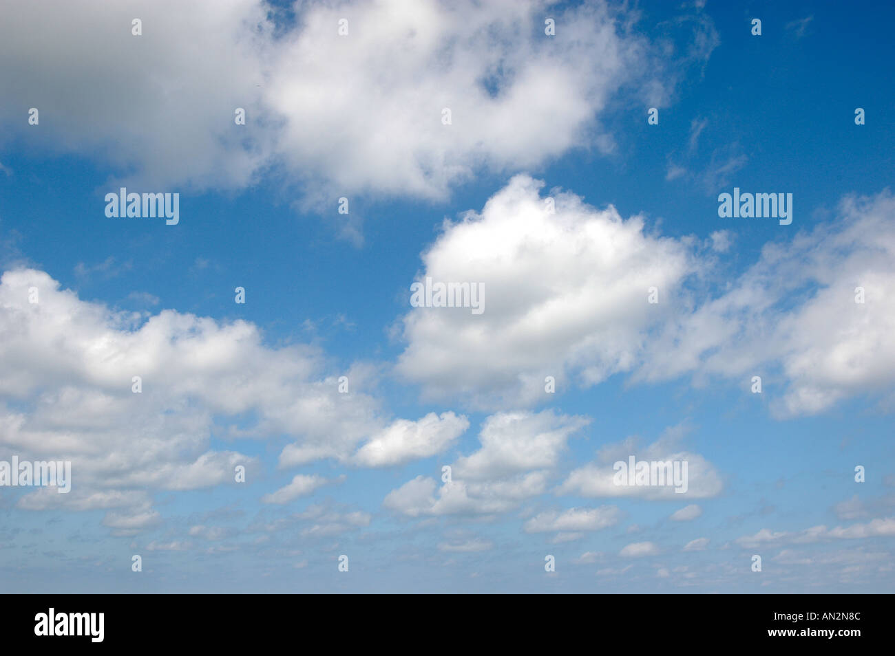 Cumulus-Wolken am blauen Himmel Stockfoto