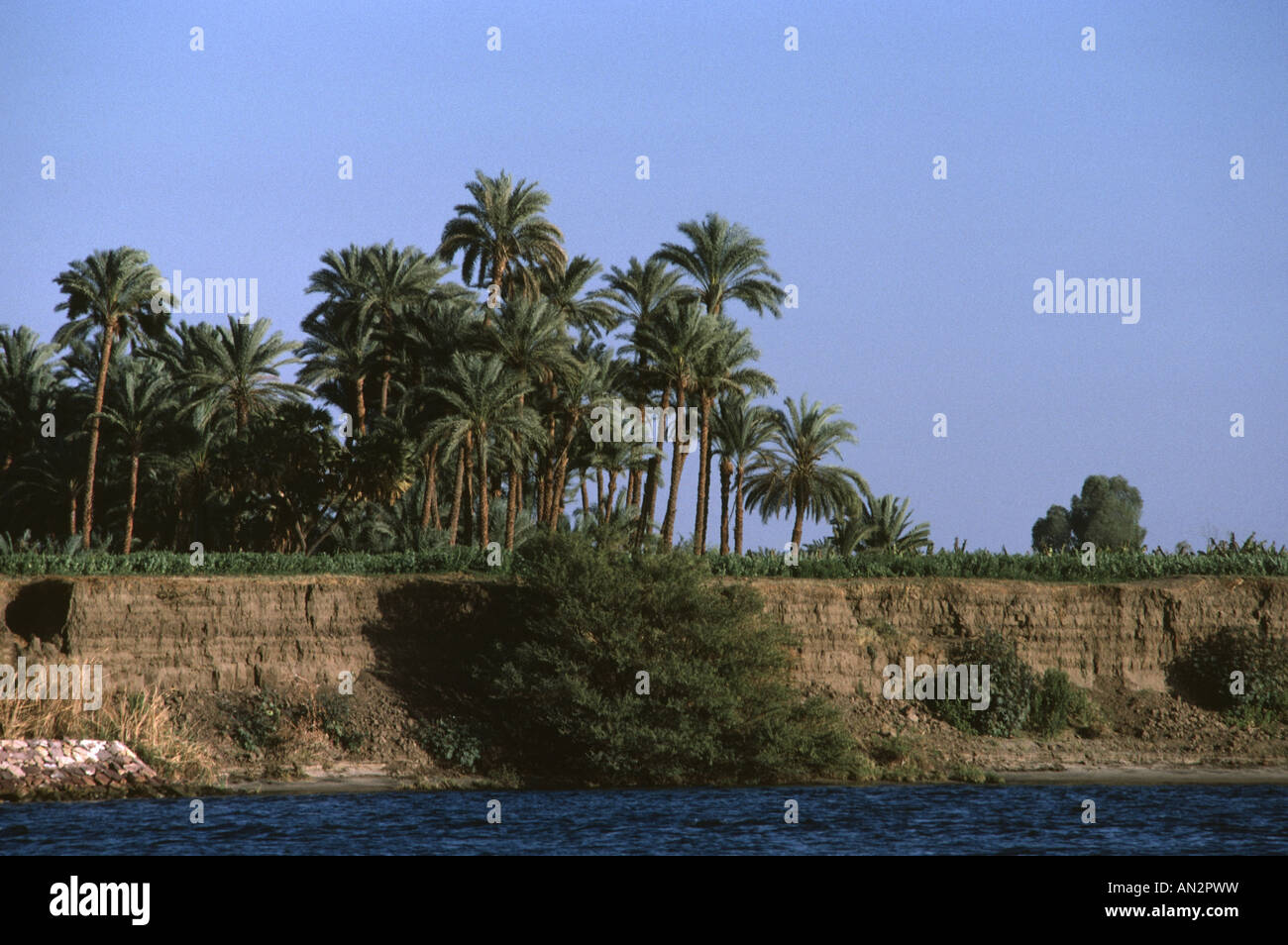 Palmen gesäumten Nil-Ufer zeigt Funktionen der Bodenerosion, Ägypten. Stockfoto