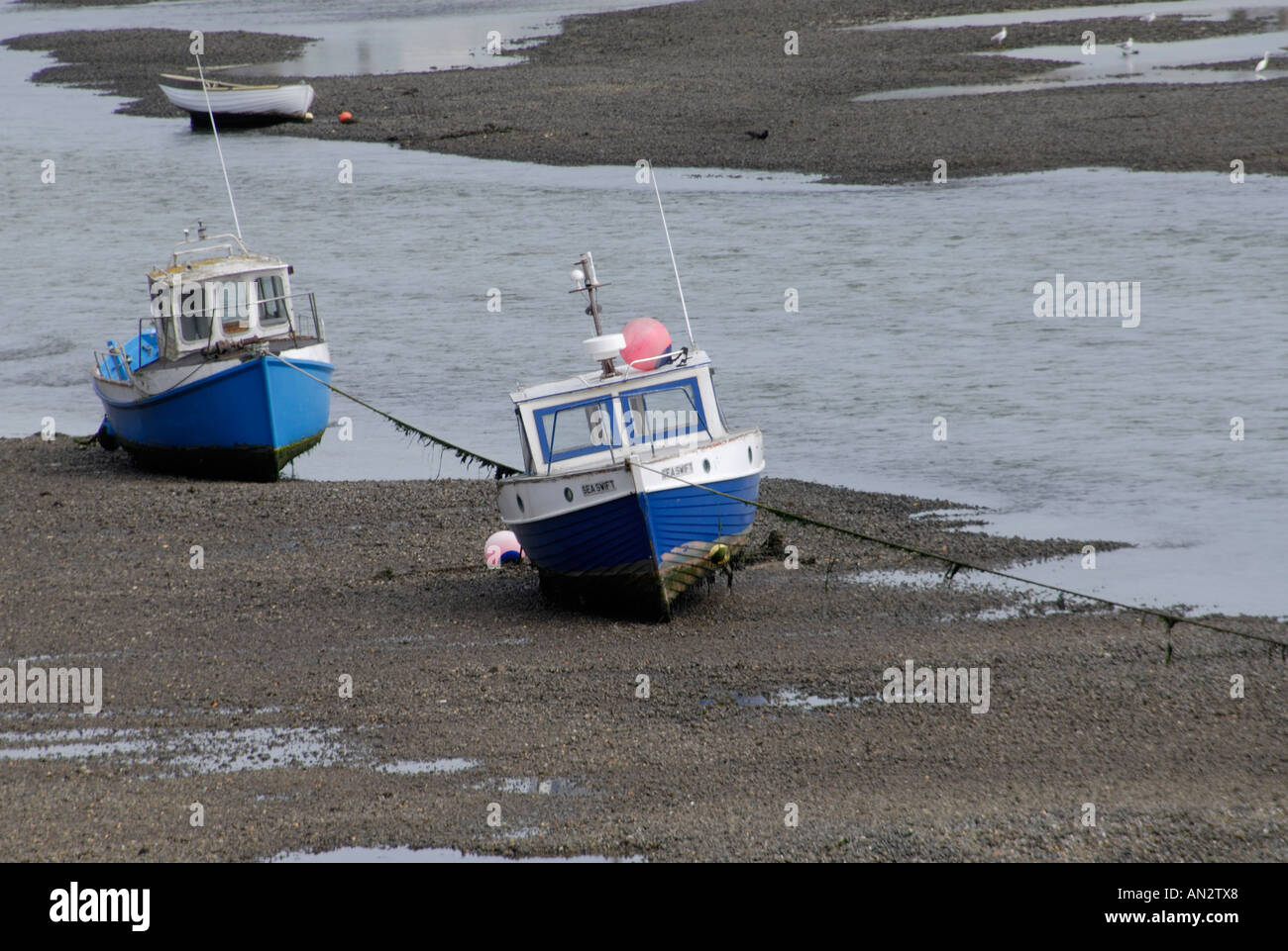 Kleine blaue und weiße Angelboote/Fischerboote vertäut und gestrandet in der Mündung des Fluss Adur Stockfoto