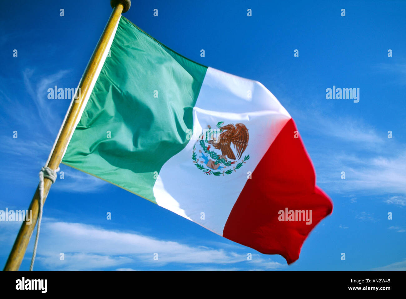 Die mexikanische Flagge. Stockfoto