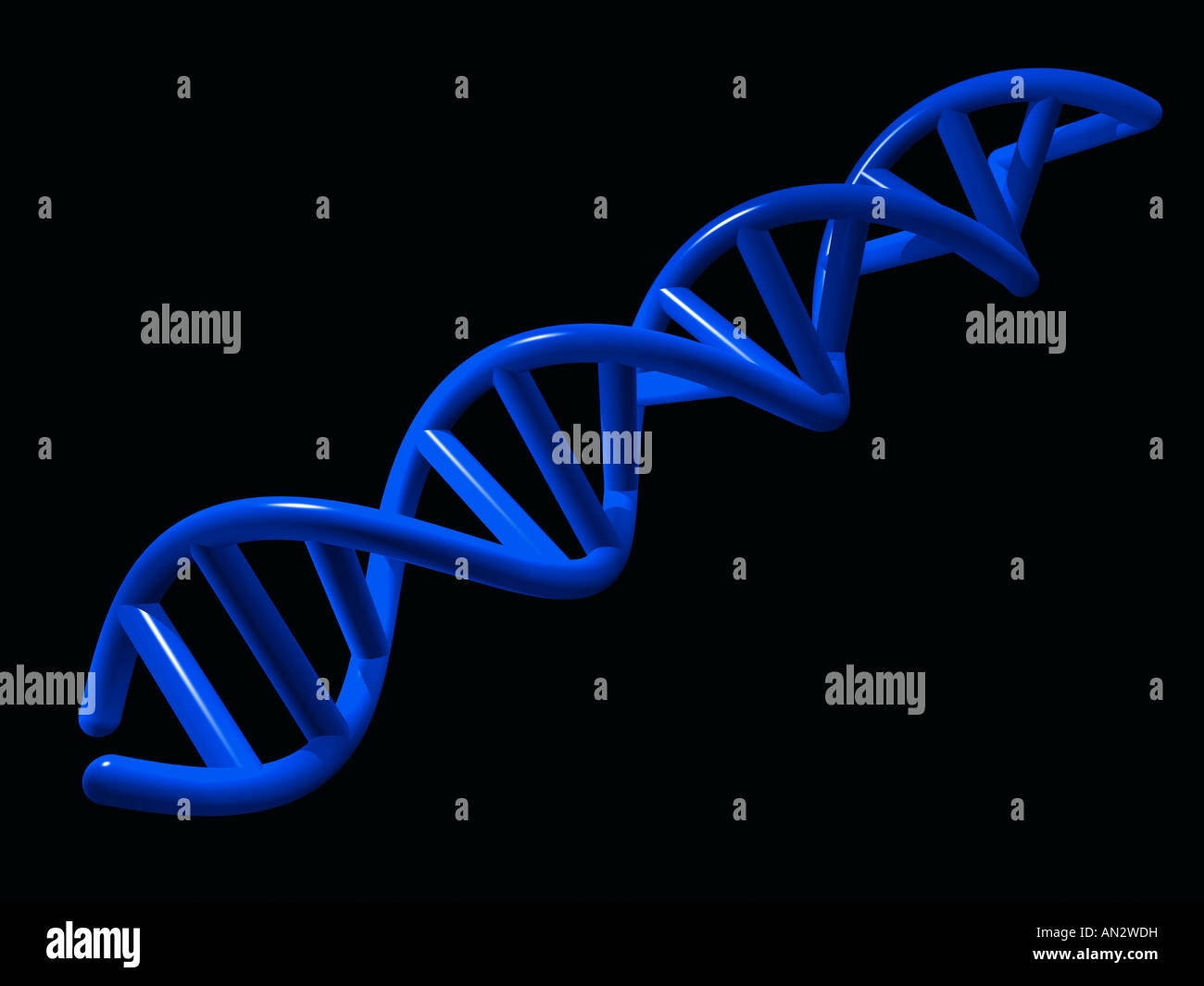 Modell des blauen DNA-Helix (3D Illustration). Stockfoto