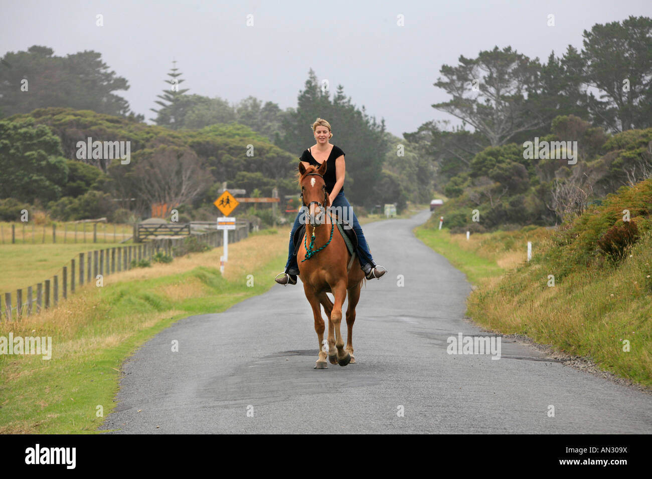 Anwyn Williams und ihrem Pferd Zavier auf der Hauptstraße Claris Great Barrier Island Neuseeland Stockfoto