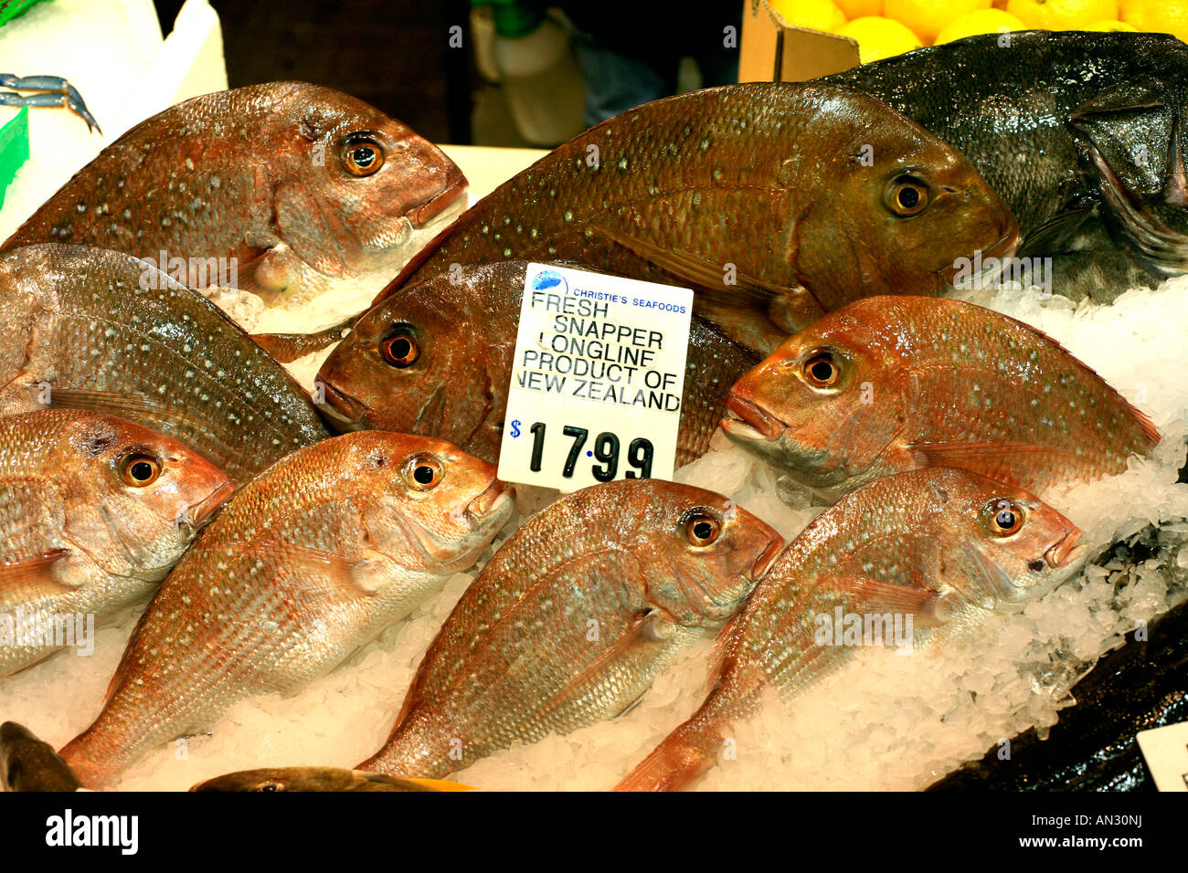 Fresh New Zealand lange Reihe Snapper bei Christies Sydney Fish Market Stockfoto