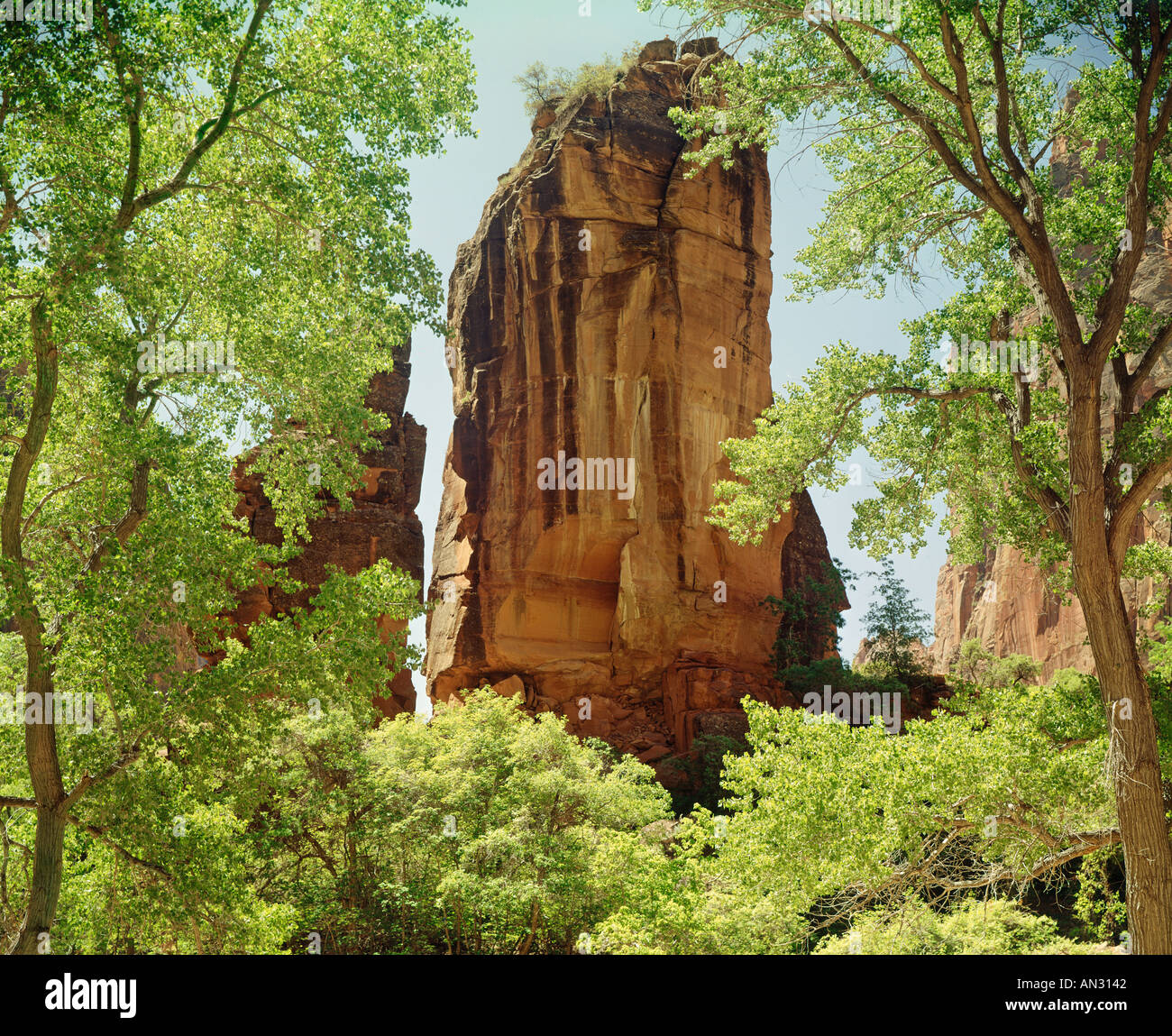 Zion National Park in Utah USA Stockfoto