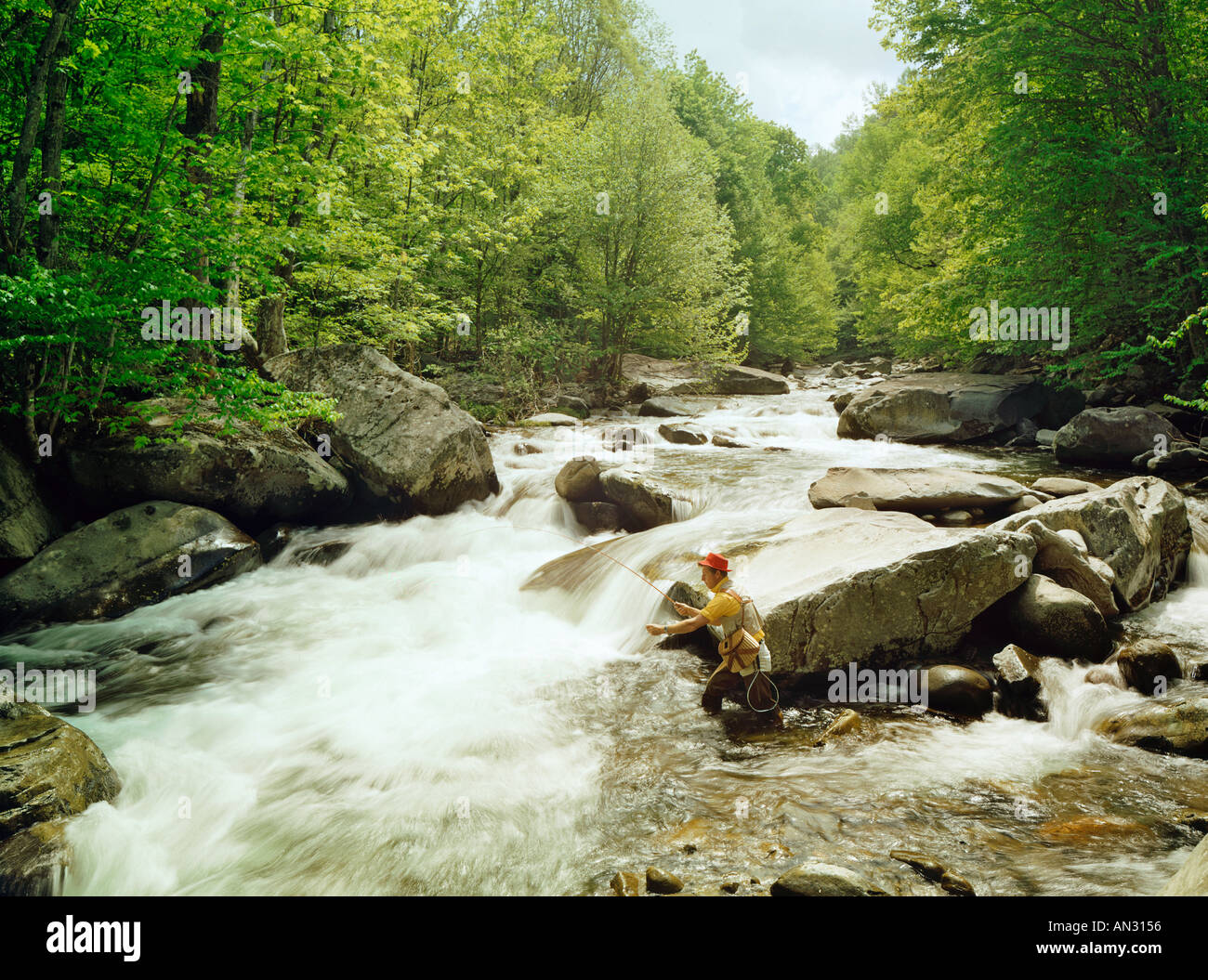 Mann Angeln Little Pigeon River Tennessee USA Stockfoto