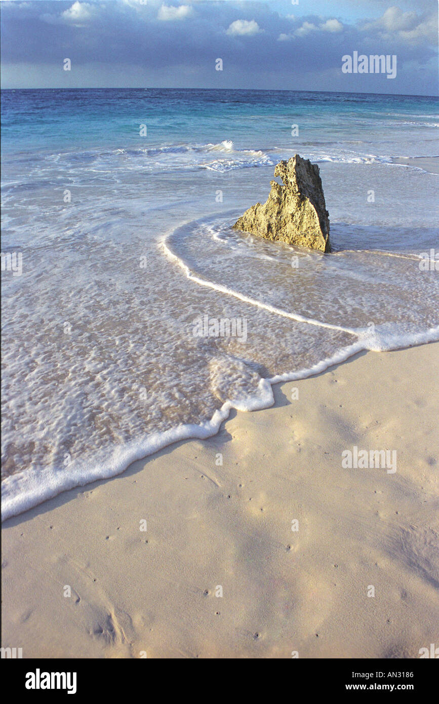 Einsame Felsen am Strand Bermuda Stockfoto