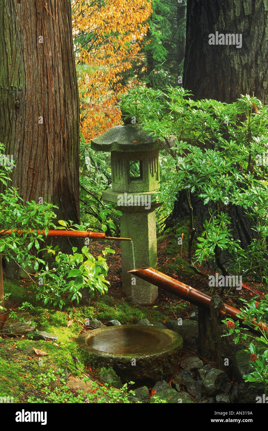 Der japanische Garten in Portland Oregon unter gigantischen Sequoia Bäumen Stockfoto