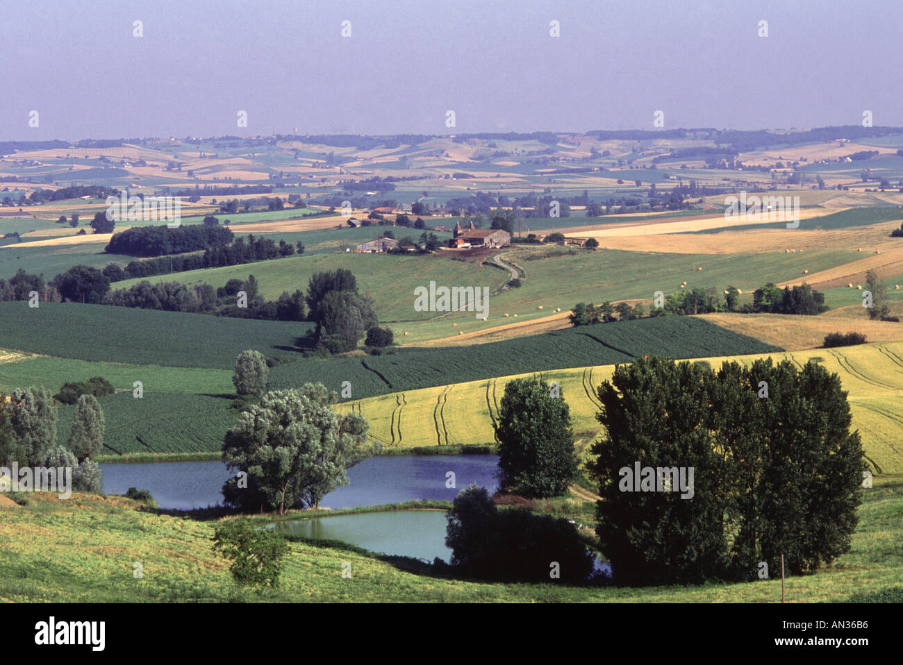 Frankreich, Gascogne Rolling Hills in den Gers stark landwirtschaftlichen viel Knoblauch wird hier angebaut wird Stockfoto