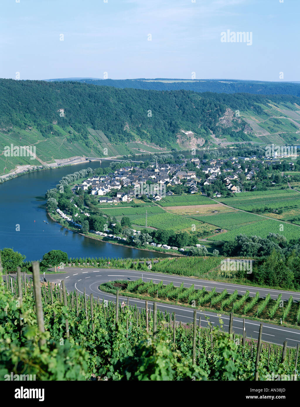 Mosel River & Weinberge, Krow, Rheinland / Moseltal, Deutschland Stockfoto