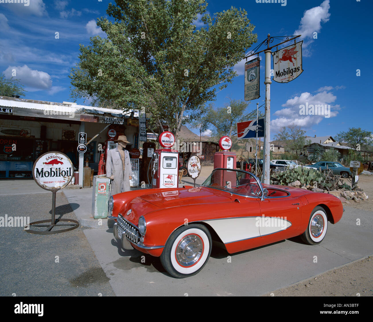 Route 66 / Tankstelle mit roten Chevrolet Corvette 1957 Auto, Hackberry, Arizona, USA Stockfoto