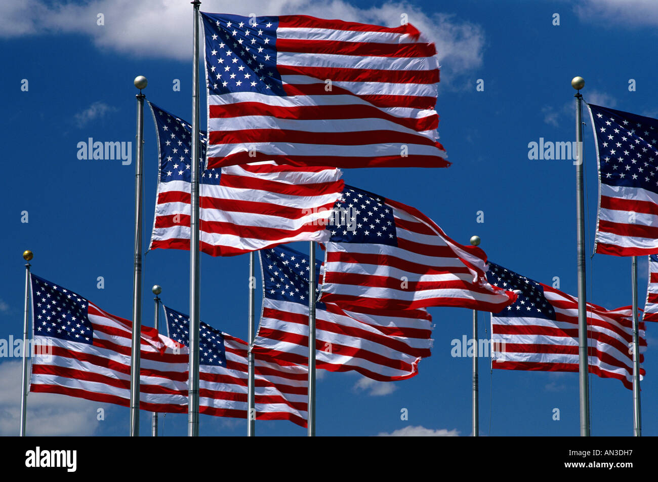 Amerikanische Flaggen fliegen, USA Stockfoto
