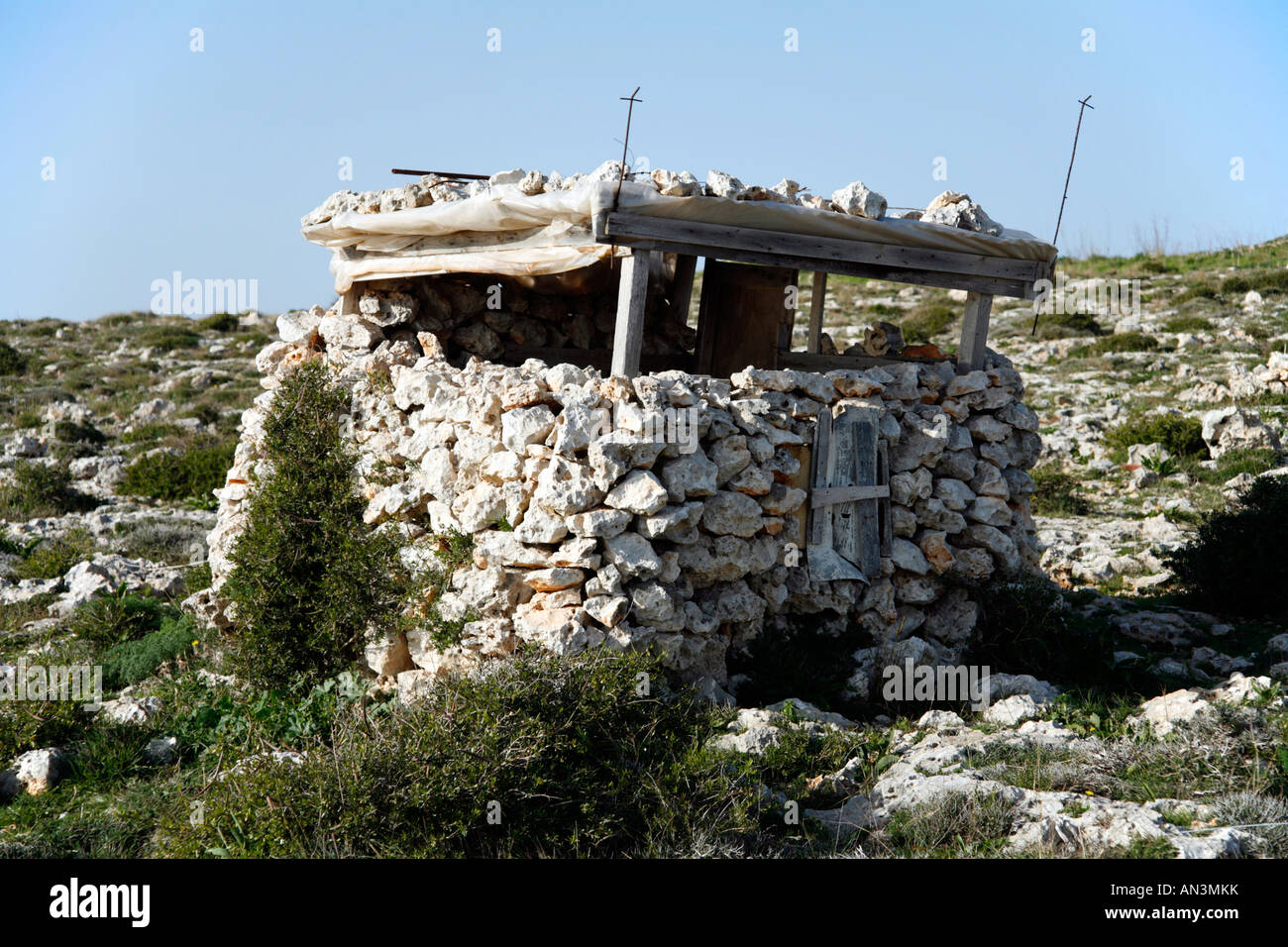 Vogel-Catchers Fell auf den Kalksteinfelsen Dingli, Malta Stockfoto