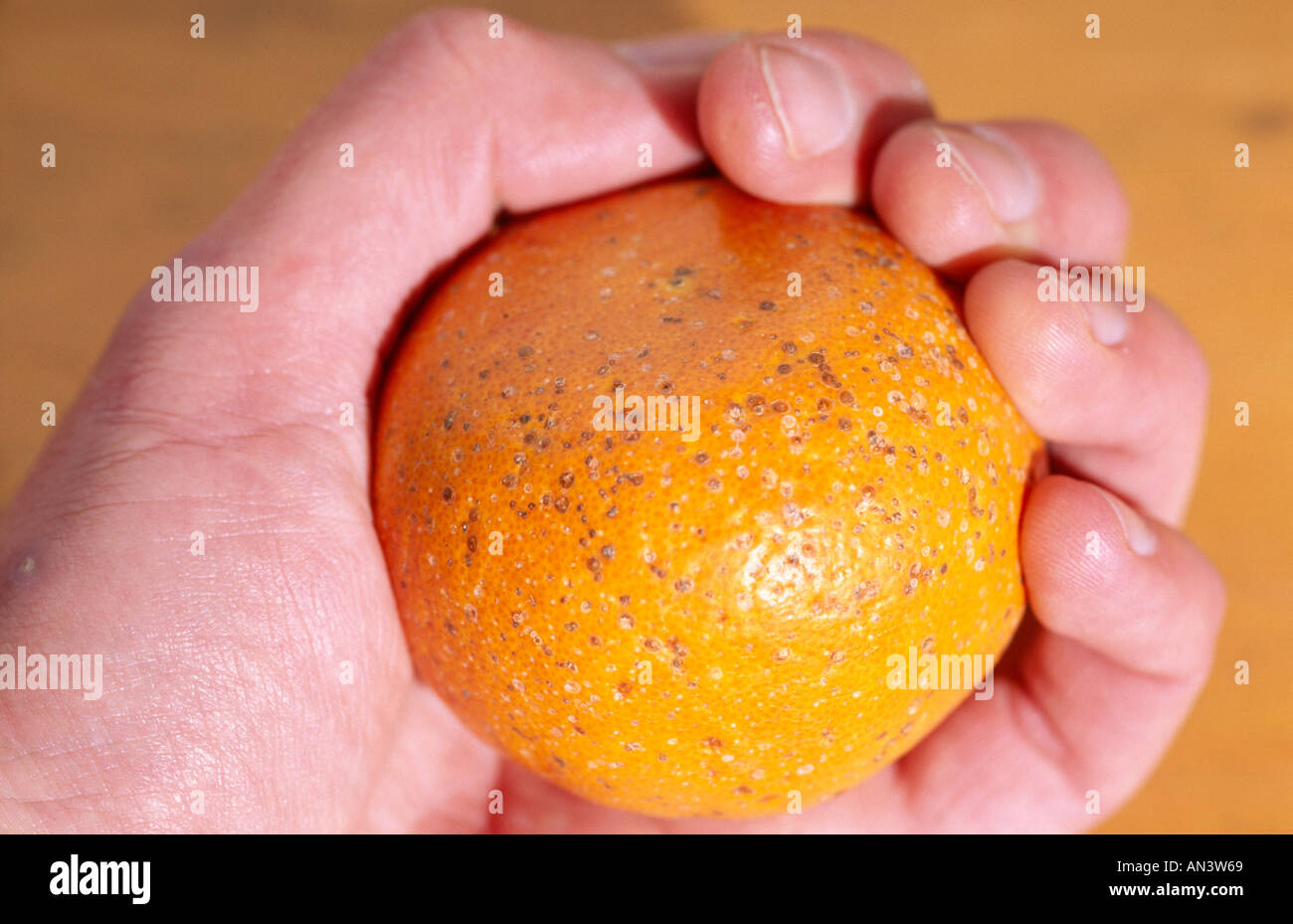 Hand, die Orange mit roten Skala Befall Stockfoto