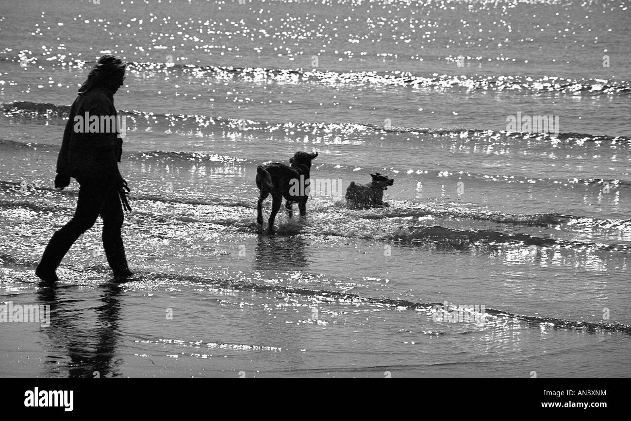 Silhouette der Person am Rand des Meeres am Strand in der Sonne mit zwei Hunden. Stockfoto
