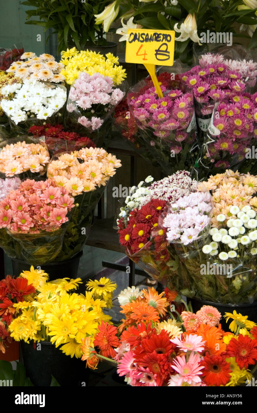 Fowers zum Verkauf an einen Floristen Stall auf La Rambla Barcelona Spanien Stockfoto