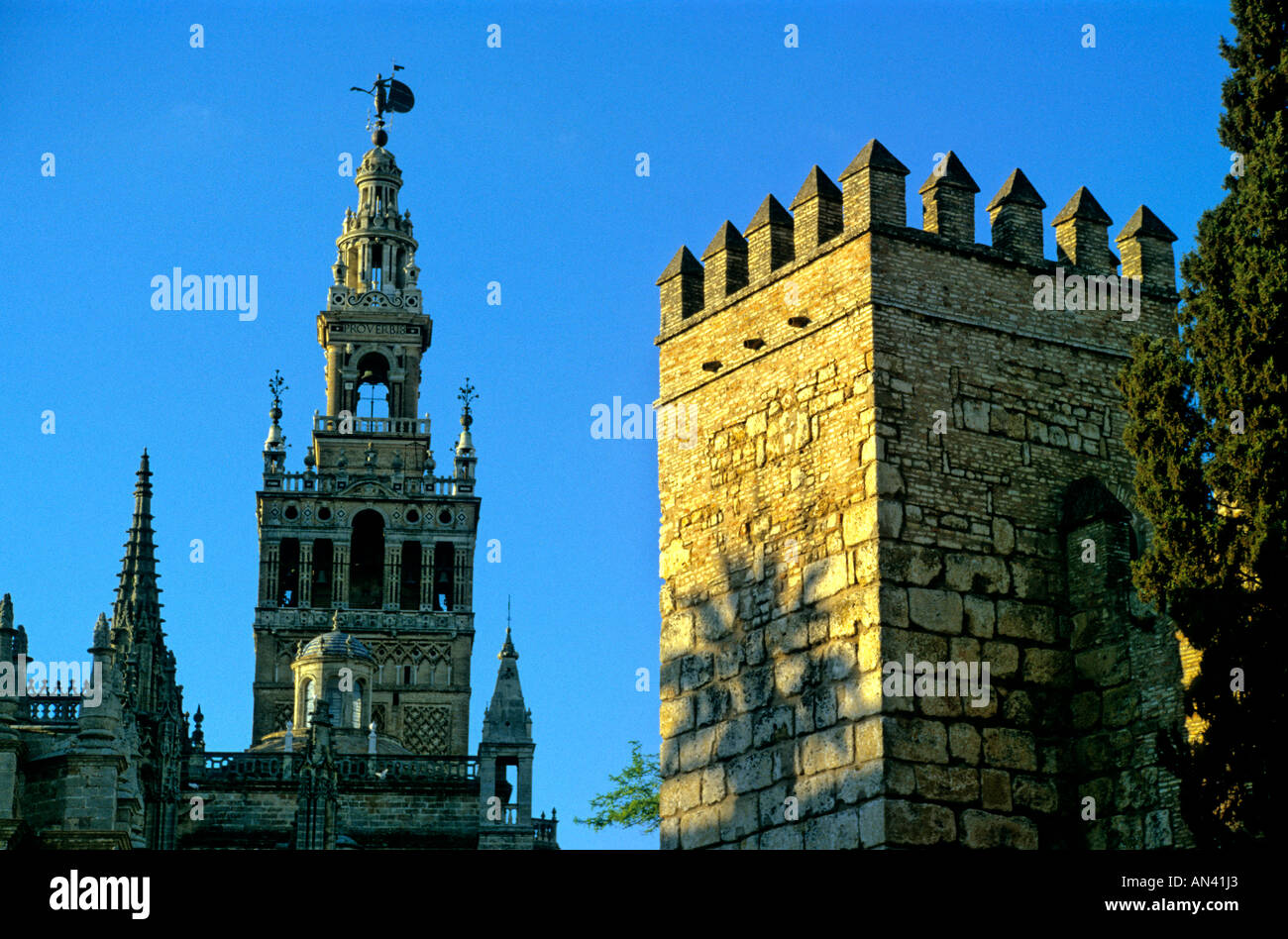 El Alcazar. Sevilla. Spanien Stockfoto