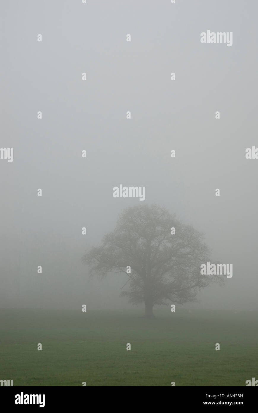 nebligen Landschaft Stockfoto