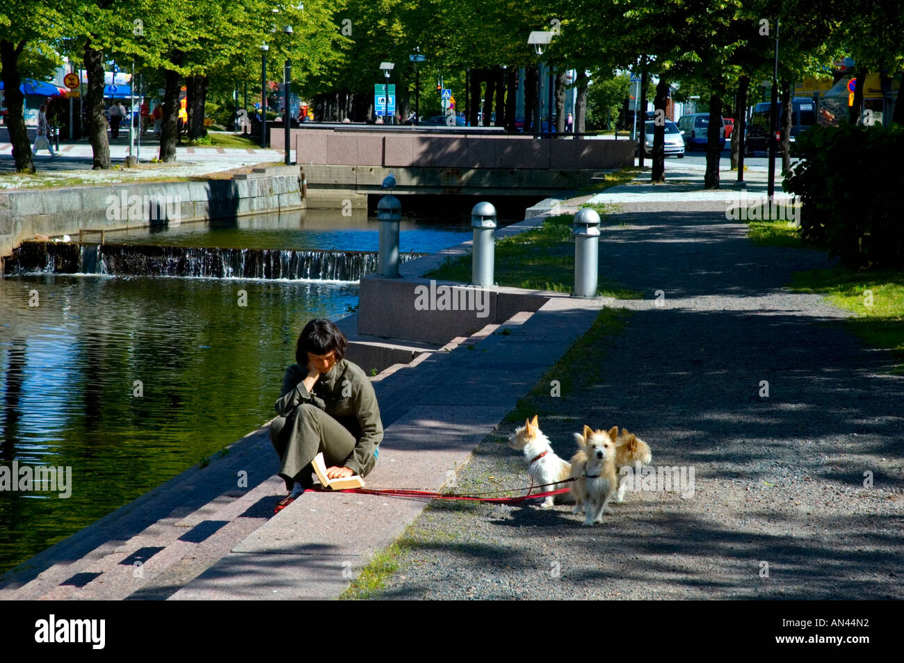 Eine Frau liest durch einen Kanal mit Hunde an der Leine Stockfoto