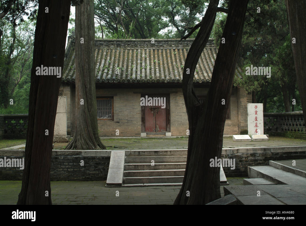 Weltkulturerbe Konfuzius Wald Stockfoto