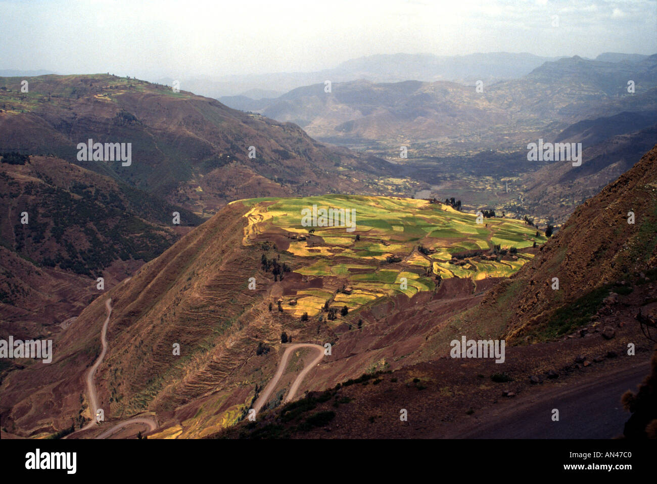In der Nähe von Weldiya WELI Provinz Äthiopien Afrika Stockfoto