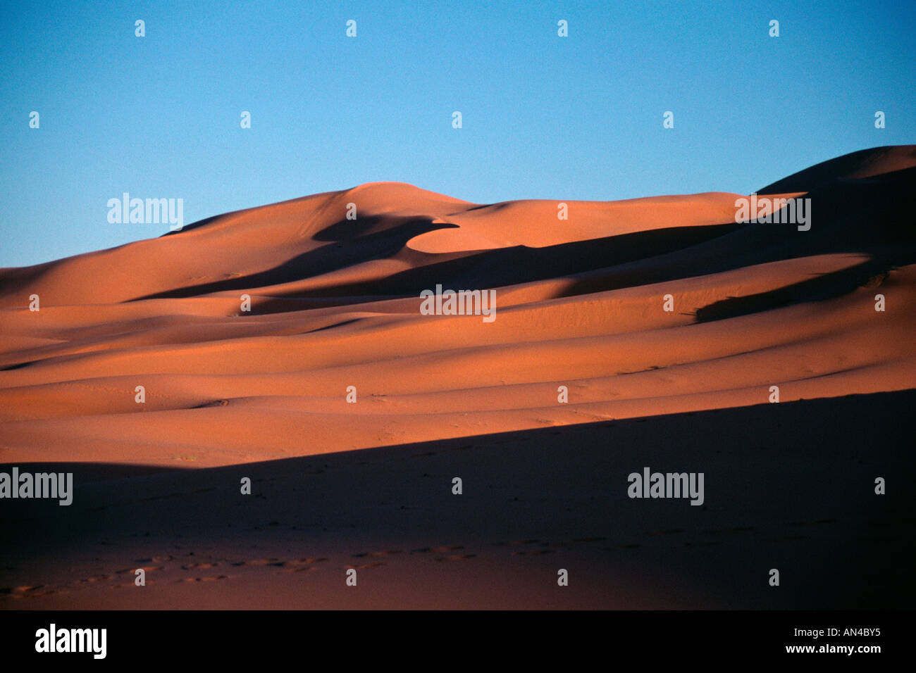 Marokko Sanddünen an Merzouga Erg südlich von Erfoud am Nordrand der Sahara-Wüste bei Sonnenuntergang Stockfoto