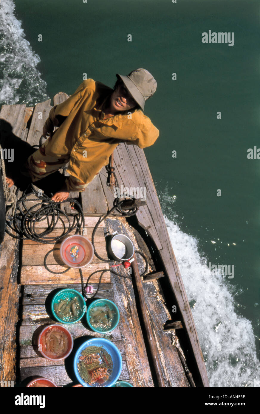 Verkauf von frischen Meeresfrüchten Halong Bucht Vietnam Mädchen Stockfoto