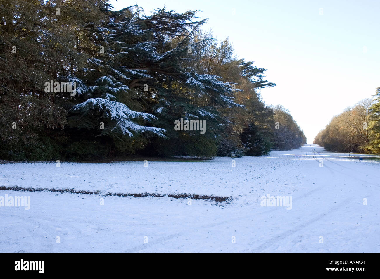 Blick von Cirencester Park mit einer Prise Schnee Stockfoto